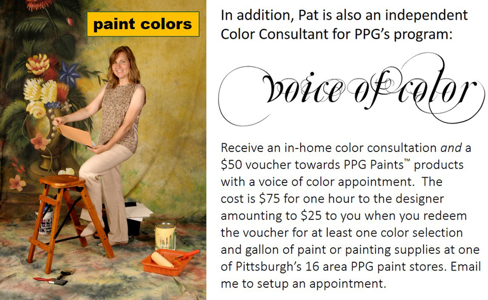 voice-of-color